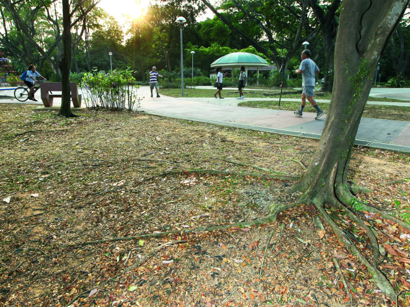Warmer, drier weather in Singapore between June and September: NEA