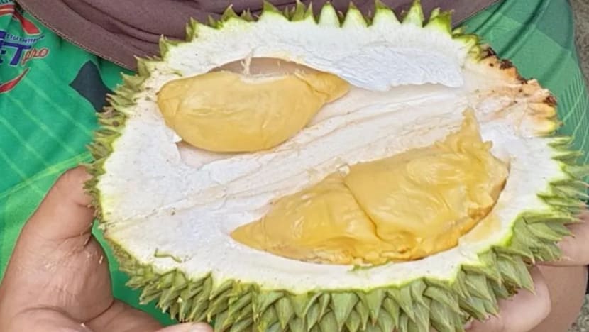 Kegemilangan 'durian paduka' sebagai durian terbaik Perak perlu dikembalikan
