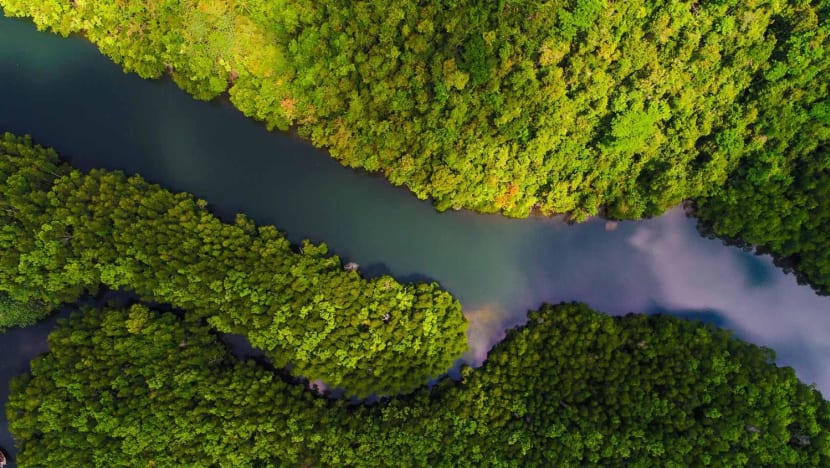 The three disconnects impeding Southeast Asia’s climate goals – and how to eliminate them The three disconnects impeding Southeast Asia’s climate goals – and how to eliminate them