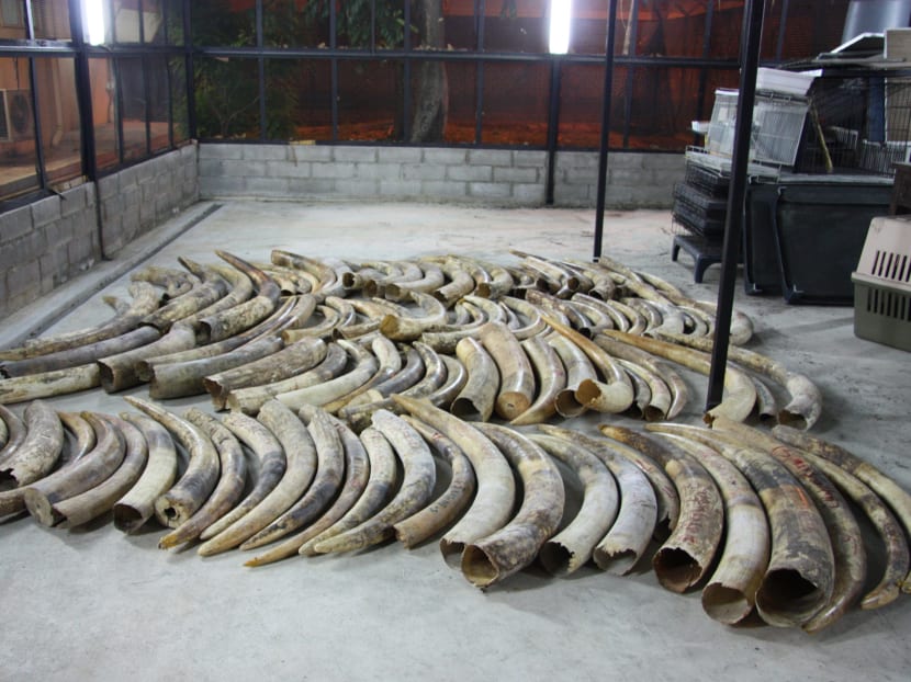 Busted: S$2m worth of ivory seized by Singapore authorities