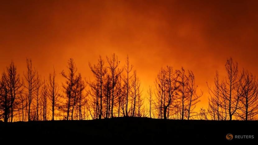 Four killed as wildfires sweep Turkey, villages evacuated
