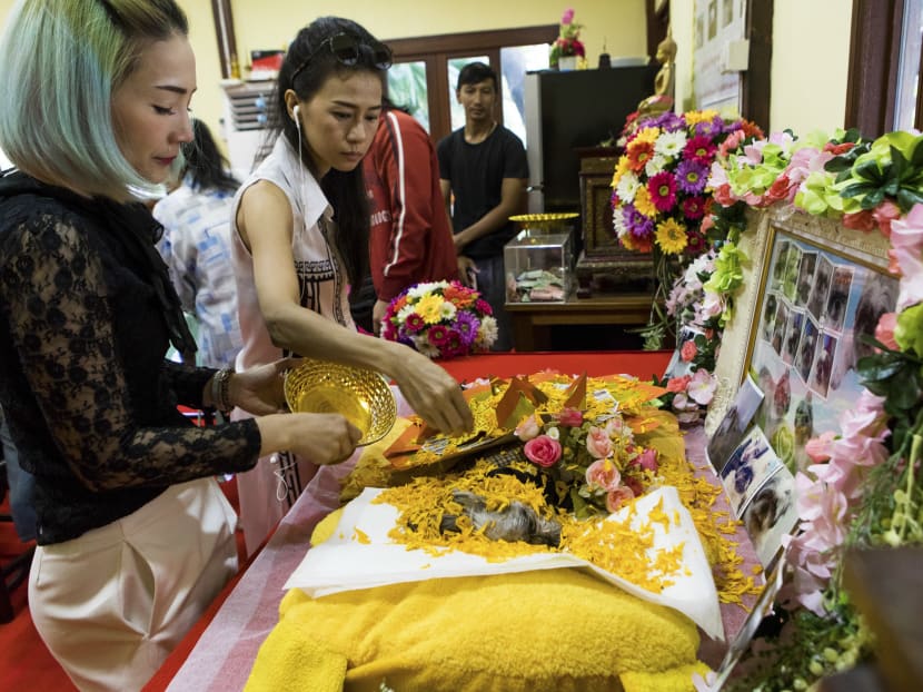 Pet funeral service sale