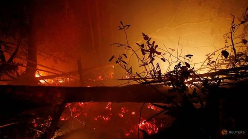 1.6 juta hektar tanah musnah terbakar di Indonesia tahun ini
