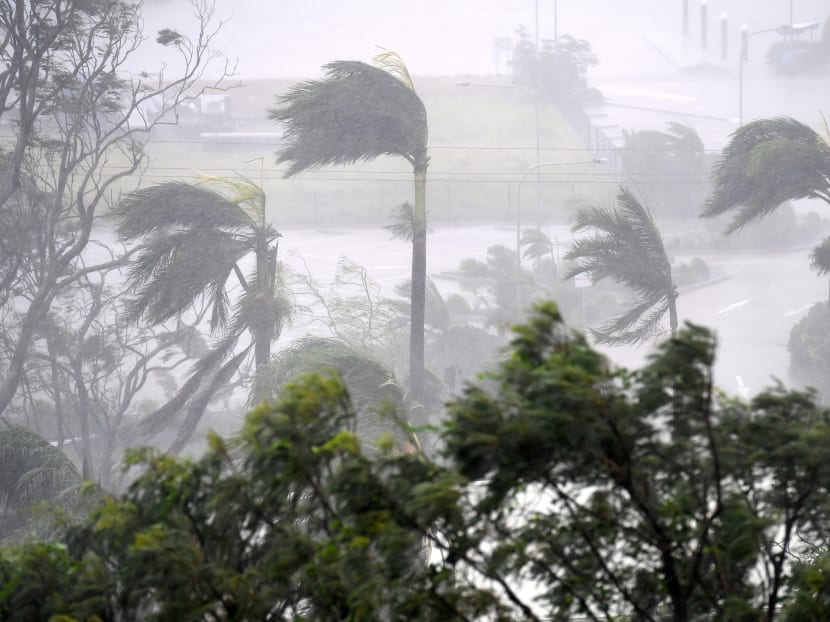 Strong wind and rain from Cyclone Debbie is seen effecting trees at Airlie Beach, located south of the northern Australian city of Townsville, March 28, 2017.   Photo: AAP/Dan Peled/via Reuters
