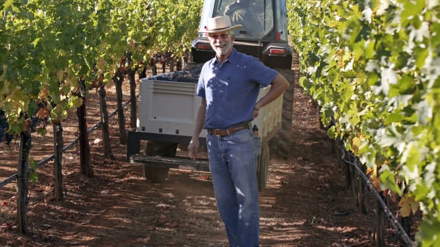 Keeping the Mondavi name alive: A winemaking scion bridges the past and future