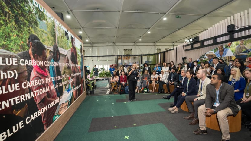 International Blue Carbon Institute to be set up in Singapore International Blue Carbon Institute to be set up in Singapore