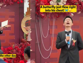 Chinese groom invites late grandma to attend his wedding as a butterfly, one lands on his chest after his speech