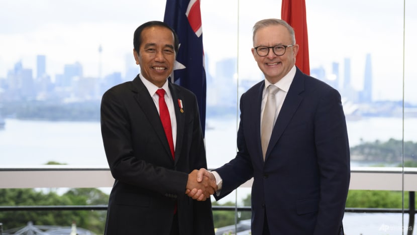 Commentary: Jokowi’s visit to Australia is about much more than electric vehicles