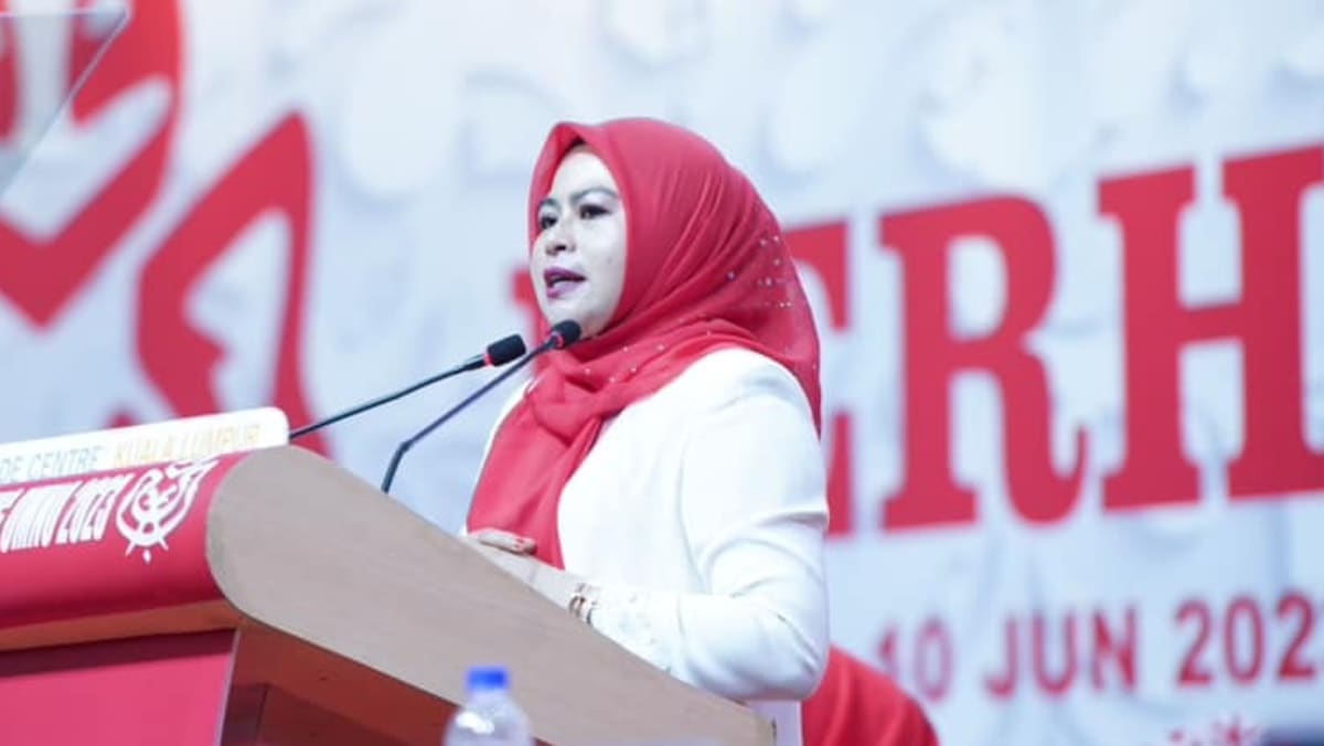 加入马来西亚的统一政府是政党成熟的证明，巫统妇女联队主席在大会上说