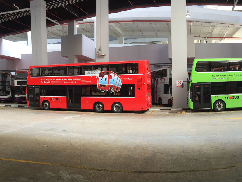 Red or green: Public can now vote on bus livery colour