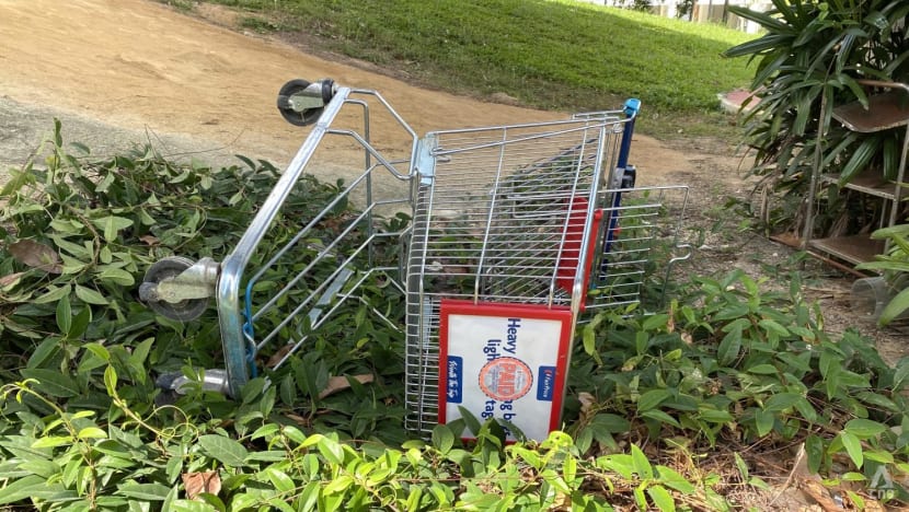 NTUC FairPrice yet to make police reports over abandoned trolleys this year but warns 'recalcitrant shoppers' 