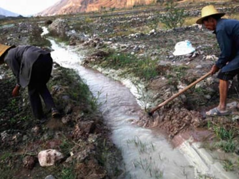 Farmers dig ditches to lead water from a polluted stream into farm fields, in Dongchuan district of Kunming, Yunnan province. Photo: Reuters