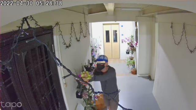 网友申诉组屋出现摧花人 年年来剪屋外花饰
