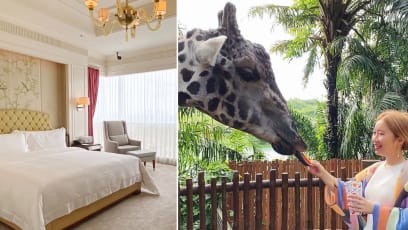 $750/Night St Regis Staycay With 24-Hour Butler Service & Private Zoo Tour: Worth It?