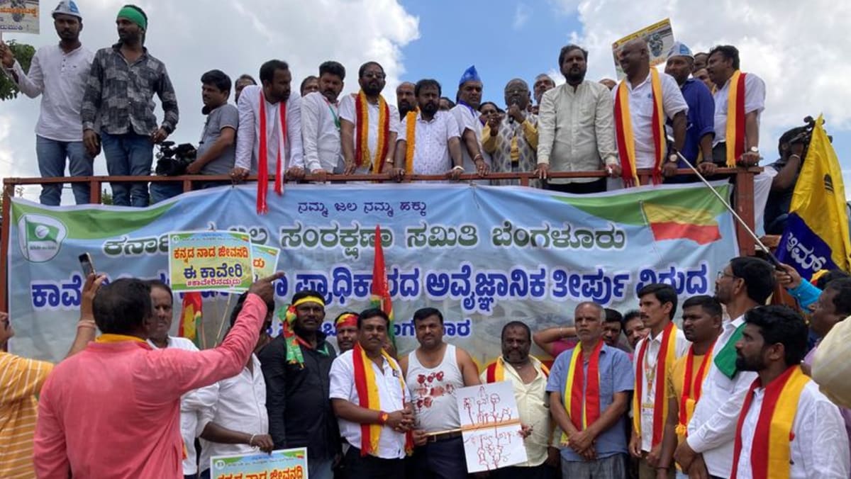 Drought-hit Indian farmers protest against sharing of river water Drought-hit Indian farmers protest against sharing of river water