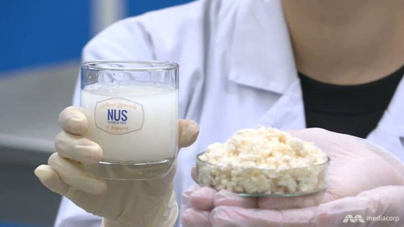 NUS scientists produce probiotic drink from soya waste