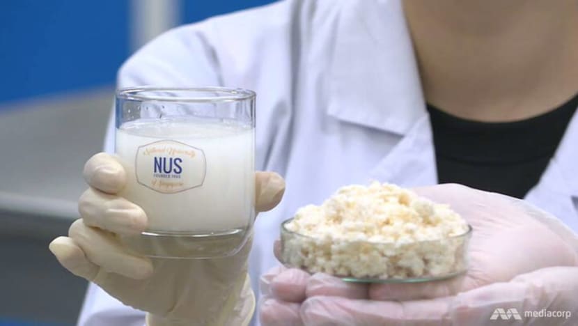 NUS scientists produce probiotic drink from soya waste NUS scientists produce probiotic drink from soya waste