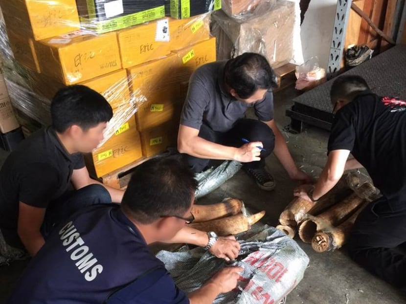 S$1.3m worth of illegal ivory, pangolin scales seized S$1.3m worth of illegal ivory, pangolin scales seized