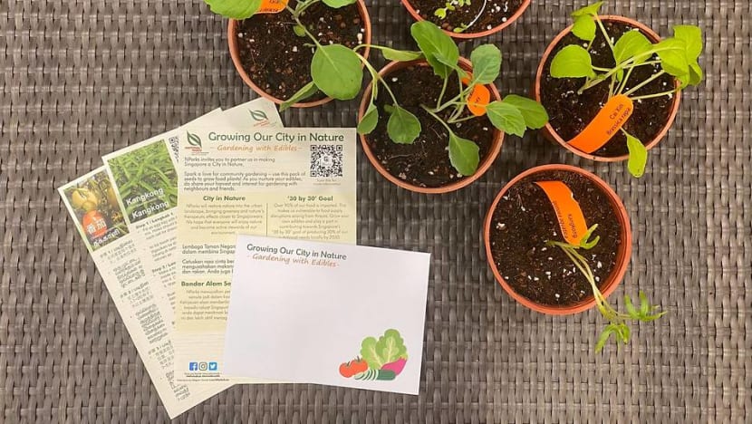 NParks to give packets of vegetable seeds to households to encourage home gardening NParks to give packets of vegetable seeds to households to encourage home gardening