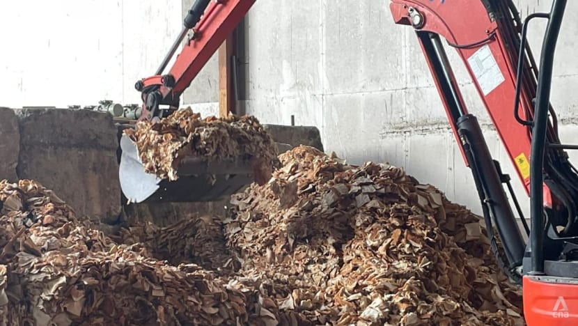 Making treasure out of trash: Firms turn food waste into compost, insect feed