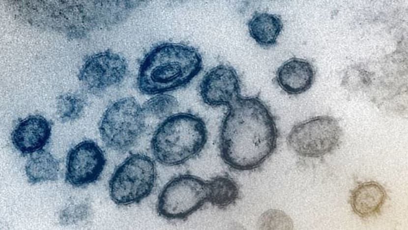 Kesan virus korona akan dirasakan jauh ke masa depan: WHO
