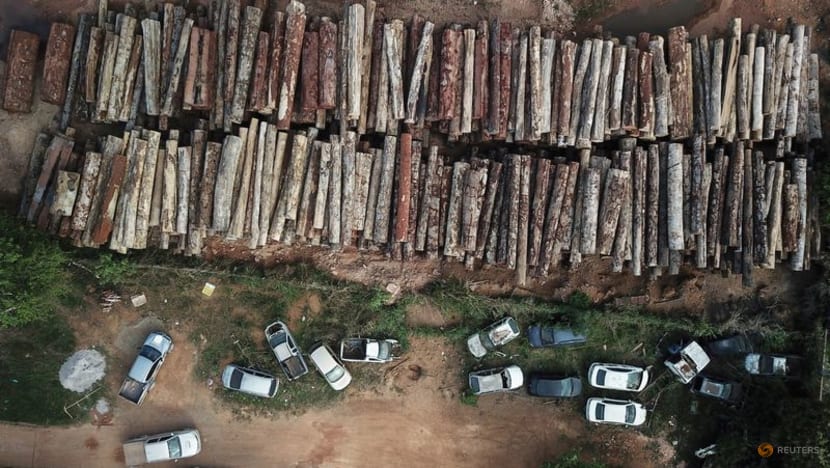 Brazil's Amazon deforestation hits April record, nearly double previous peak Brazil's Amazon deforestation hits April record, nearly double previous peak