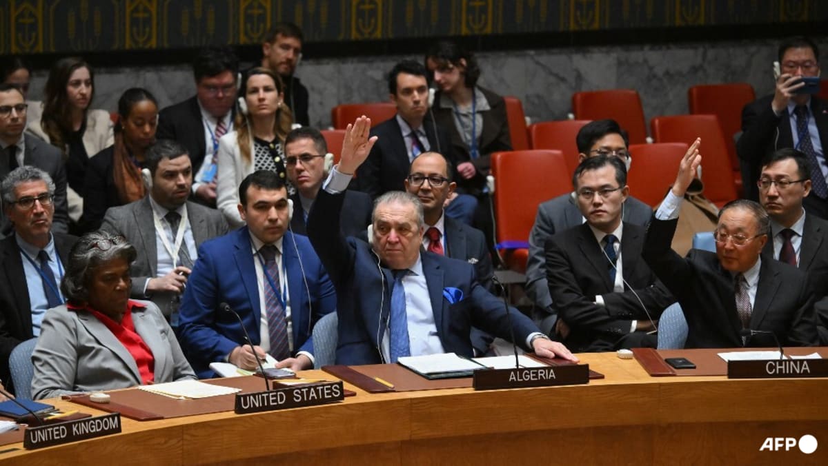 Commentary: UN Security Council finally called for a Gaza ceasefire, but will it have any effect?