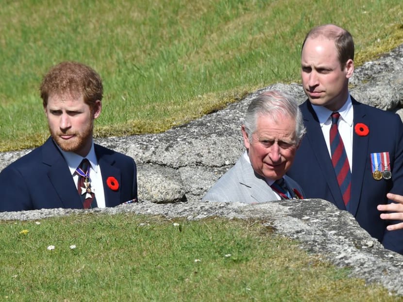 Britain's Charles, Prince of Wales (centre), Prince William (right) and Prince Harry visit the Canadian National Vimy Memorial during a commemoration ceremony to mark the 100th anniversary of the Battle of Vimy Ridge, in Vimy, near Arras, northern France, on April 9, 2017. Britain's Charles, Prince of Wales (centre), Prince William (right) and Prince Harry visit the Canadian National Vimy Memorial during a commemoration ceremony to mark the 100th anniversary of the Battle of Vimy Ridge, in Vimy, near Arras, northern France, on April 9, 2017.
