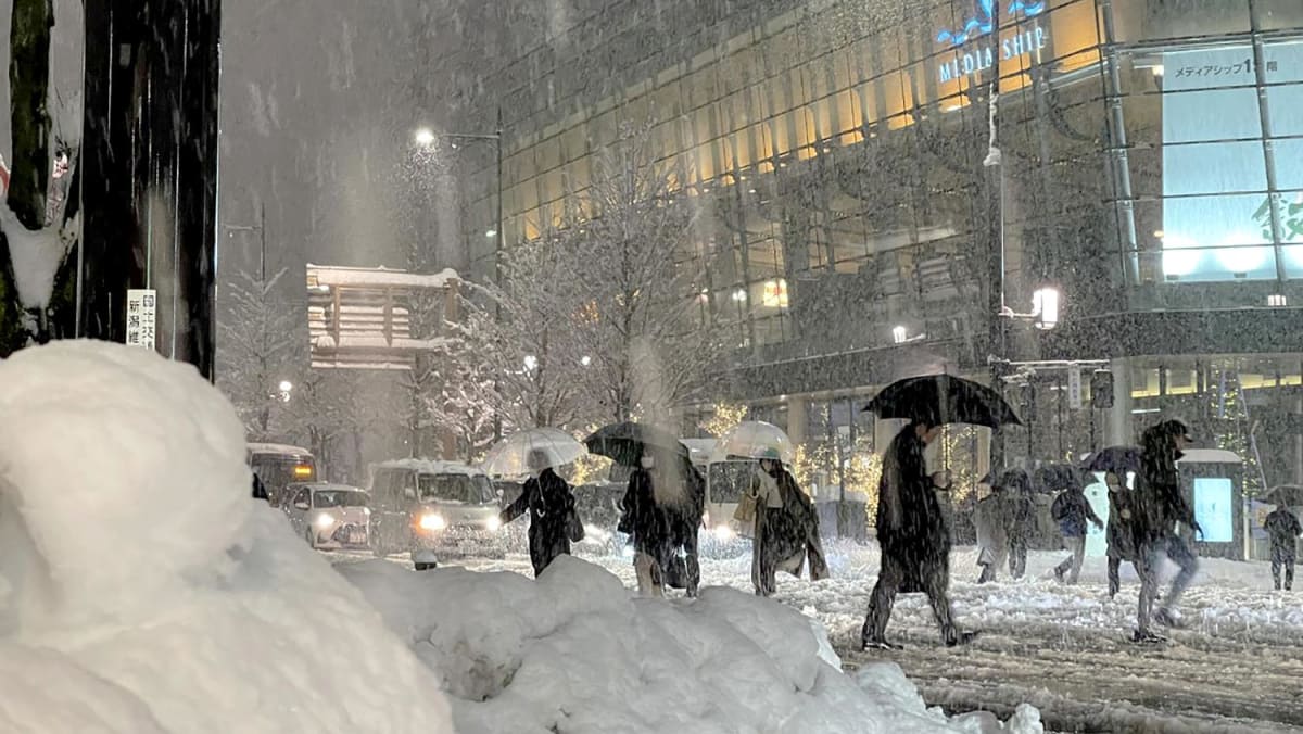 Heavy snowfall kills 8 in Japan