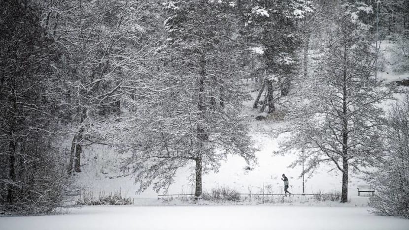Four die in Sweden after falling through ice on lake Four die in Sweden after falling through ice on lake