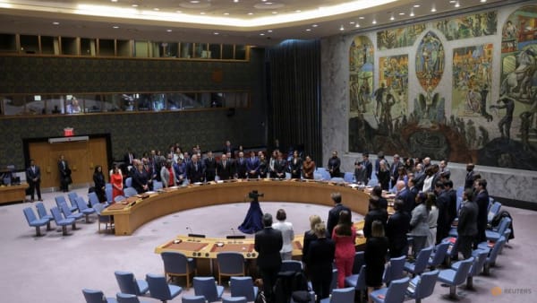 UN Security Council: What you need to know - Vimarsana News