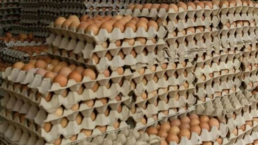 Bekalan telur ayam berkurangan dalam kalangan peruncit M'sia