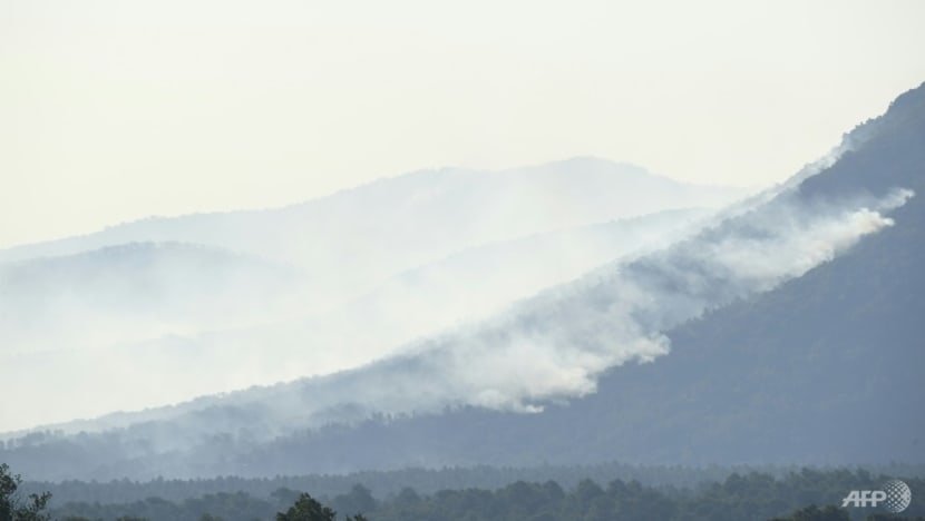 'Fierce' wildfire near Saint-Tropez forces evacuations in France 'Fierce' wildfire near Saint-Tropez forces evacuations in France