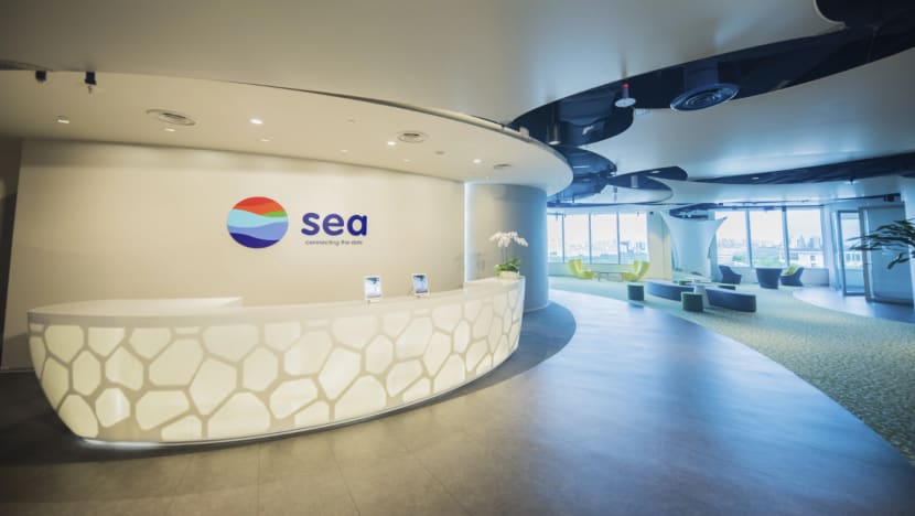 Singapore's Sea to freeze salaries, slash bonuses; Lion City Sailors CEO to step down Singapore's Sea to freeze salaries, slash bonuses; Lion City Sailors CEO to step down