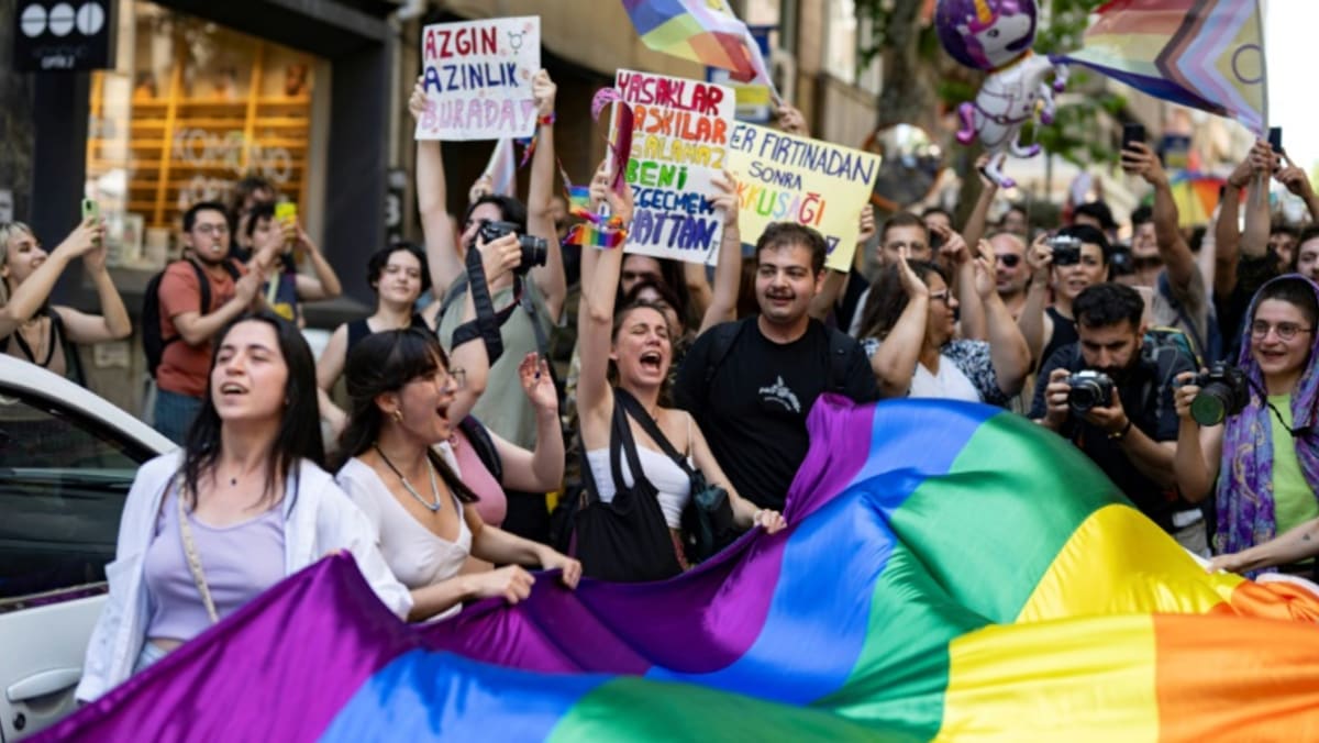 Istanbul gay pride activists rally despite ban