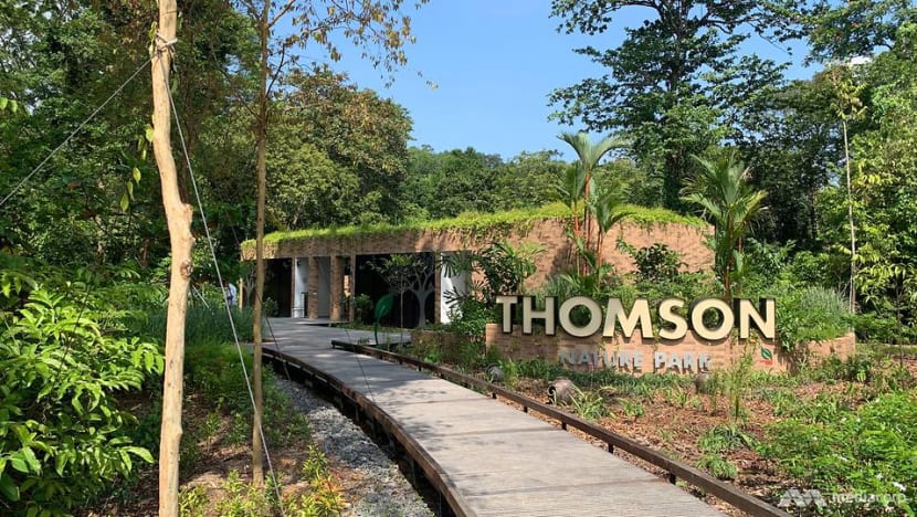 Singapore's seventh nature park opens in Thomson, with site of former village on its grounds Singapore's seventh nature park opens in Thomson, with site of former village on its grounds