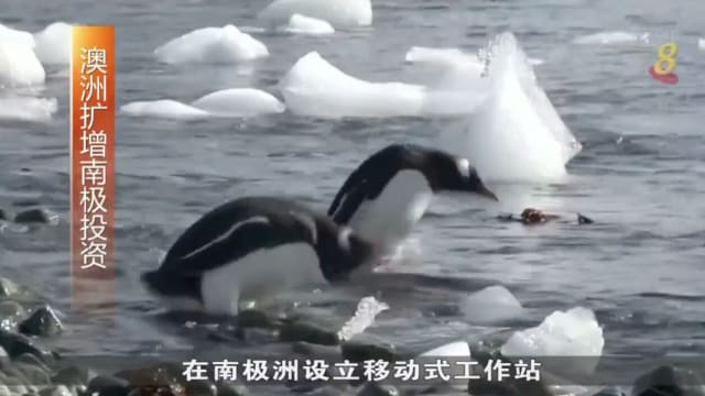 澳洲未来十年将投资逾5亿美元 在南极洲设立移动式工作站