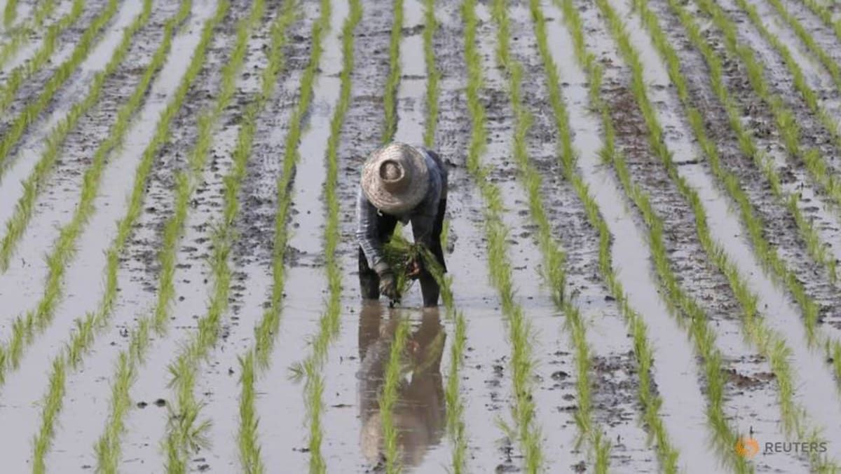 Petani Thailand takut kehilangan tanah ke zona industri mega