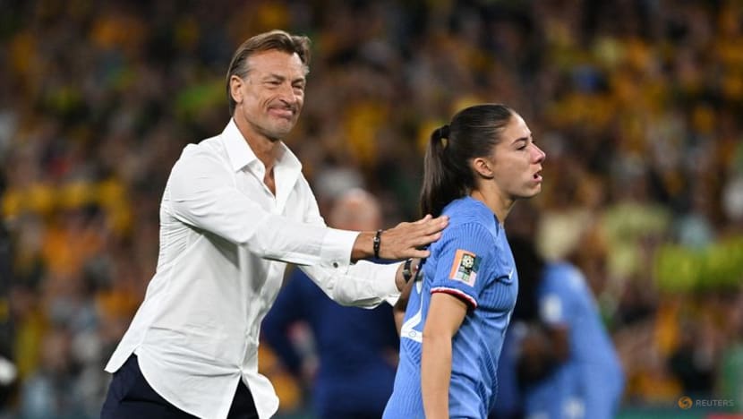 France coach Renard lauds players despite quarter-final exit