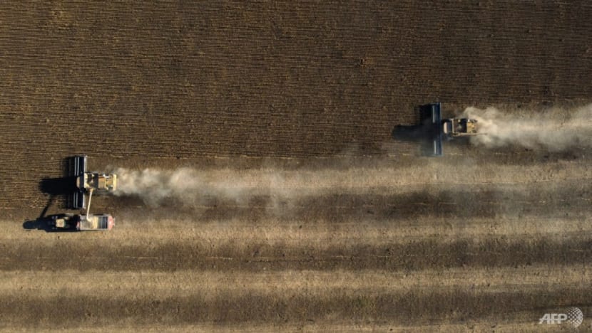 Soy boon for Argentina as Ukraine war boosts prices Soy boon for Argentina as Ukraine war boosts prices