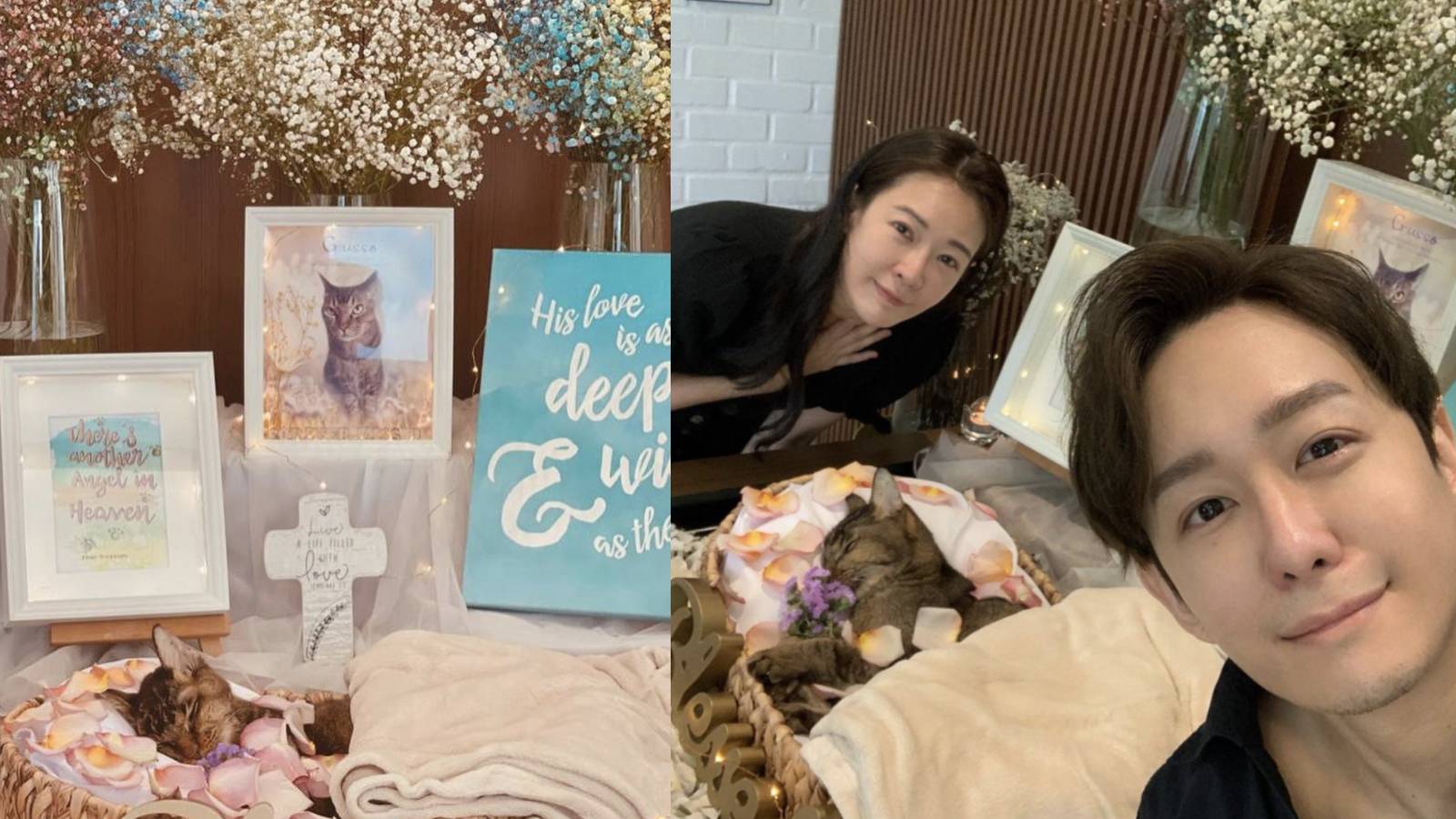 Jesseca Liu And Jeremy Chan Mourn Their Cat’s Death; Say He Went To “Chop A Seat” In Heaven First