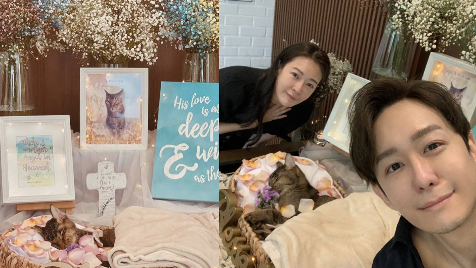 Jesseca Liu And Jeremy Chan Mourn Their Cat’s Death; Say He Went To “Chop A Seat” In Heaven First Jesseca Liu And Jeremy Chan Mourn Their Cat’s Death; Say He Went To “Chop A Seat” In Heaven First