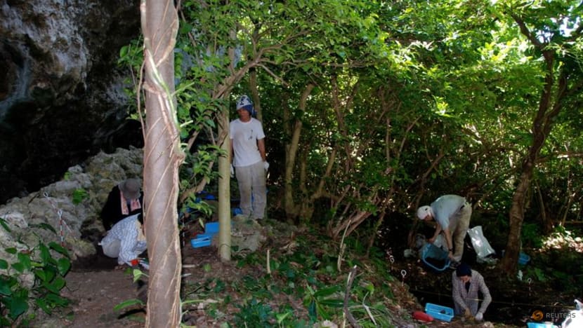 Japanese-Korean-Turkish language group traced to farmers in ancient China Japanese-Korean-Turkish language group traced to farmers in ancient China
