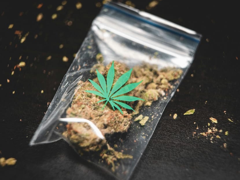 A packet of dried cannabis. 