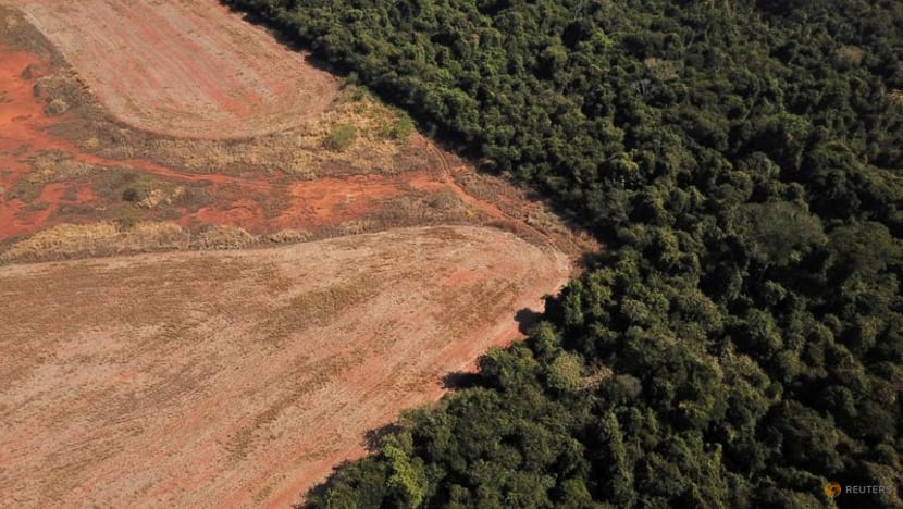 Jump in deforestation of world's most biodiverse savanna alarms Brazilian scientists Jump in deforestation of world's most biodiverse savanna alarms Brazilian scientists