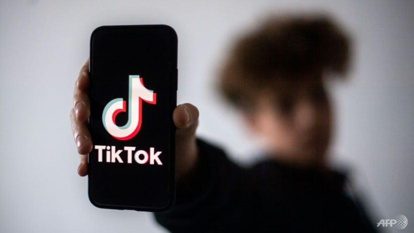 Commentary: TikTok’s extraordinary rise signals a more multipolar Internet Commentary: TikTok’s extraordinary rise signals a more multipolar Internet