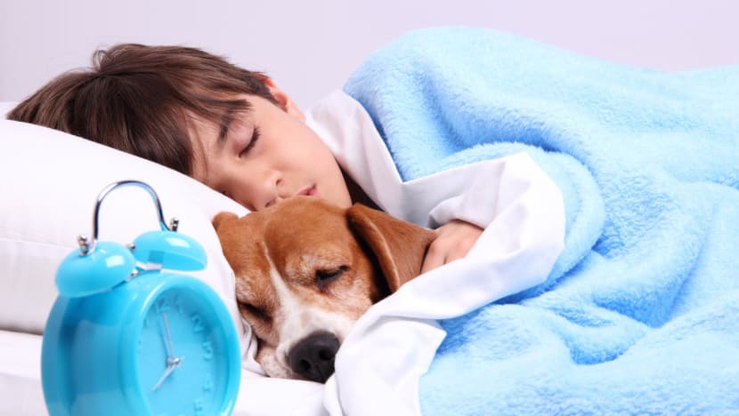 Commentary There are benefits to sharing a bed with your pet as