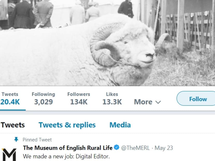 Mr Koszary’s story of he got a job at Tesla after his tweet of a photo of a sheep with the message “look at this absolute unit” went viral offers lessons on how to navigate the early twists in any job history.