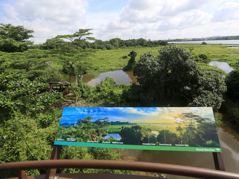 Marsh ado about Kranji Marsh ado about Kranji