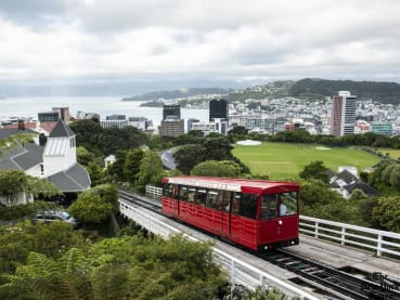 36 hours in Wellington: Where to eat, drink, shop and make the most of your New Zealand holiday
